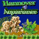 Hannover Aquarianer