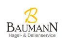 Baumann Hagel- & Dellenservice Ltd.