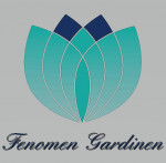 Fenomen Gardinen