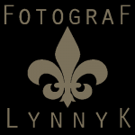 Hochzeitsfotograf In Frankfurt- Lynnyk