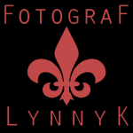 Newborn und Babyfotograf Lynnyk in Frankfurt und Königstein