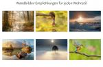 Wandbilderdirekt.de - Wandbilder online kaufen