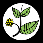 Kratomheld - Kratom kaufen