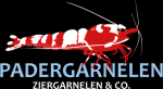 PaderGarnelen